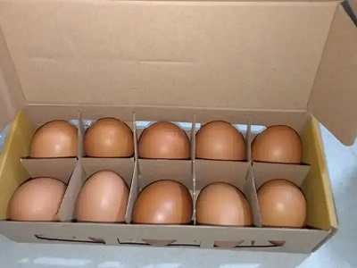 Telur Segar Curah