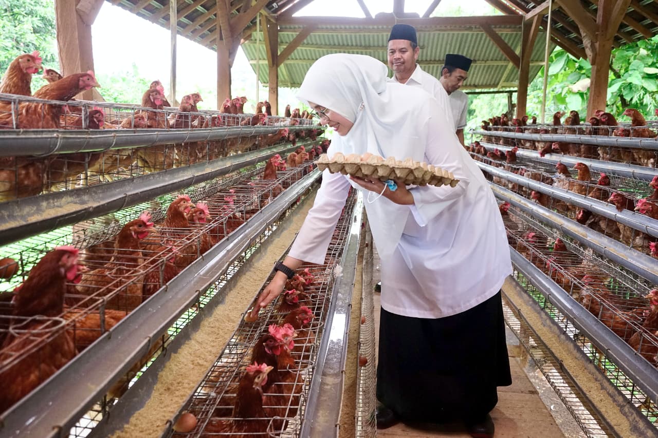 BUMDes Alasbuluh Banyuwangi Sulap Telur Lokal Jadi Senjata Lawan Stunting